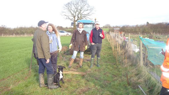 News from the Allotments